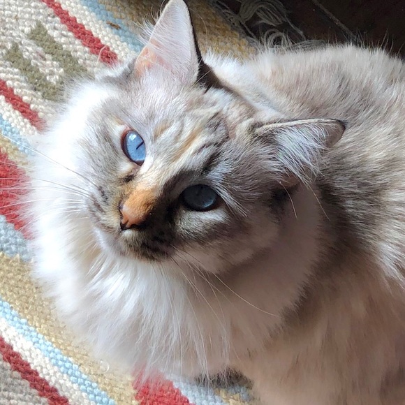 Meet your Posher, April - Picture 3 of 8